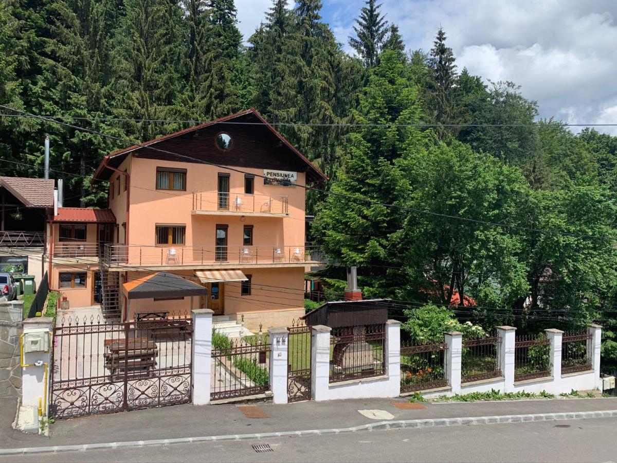 Pensiunea Luminita Buşteni Exterior foto